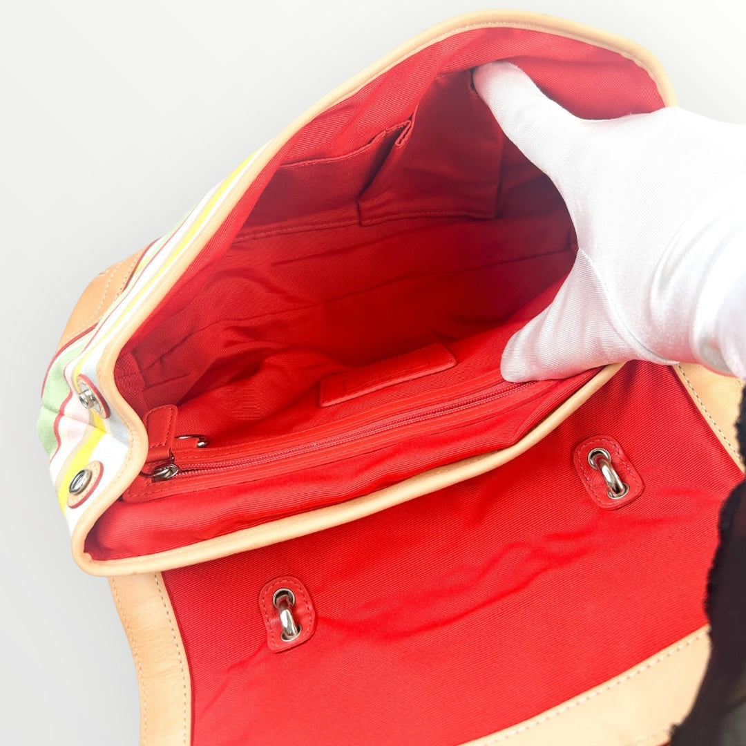 Coach Multicolor Shoulder Bag