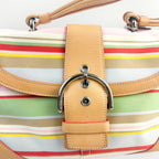 Coach Multicolor Shoulder Bag